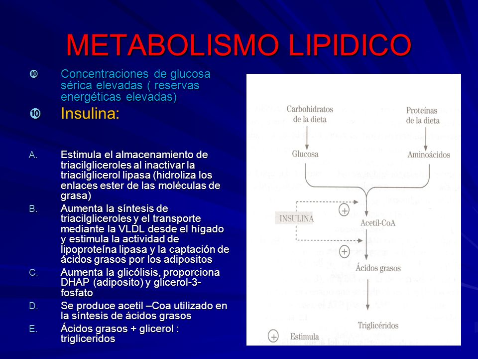 triglicéridos de enlace éster y diabetes